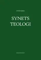 Synets teologi af Svend Bjerg