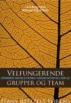 Velfungerende grupper og team af Michael Stig Ørbech og Lars Borgmann