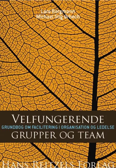 Velfungerende grupper og team af Michael Stig Ørbech