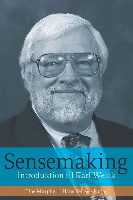 Sensemaking af Tine Murphy