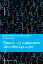 Økonomiske incitamenter i den offentlige sektor