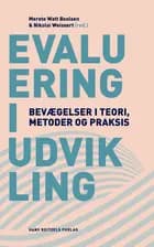 Evaluering i udvikling