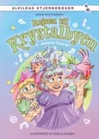 Rejsen til Krystalbyen 3: Åndens opgave