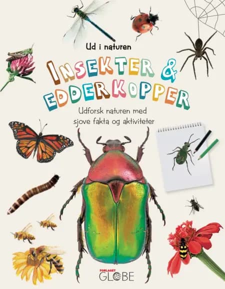 Insekter og edderkopper 