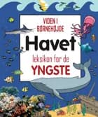 Havet - leksikon for de yngste 