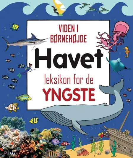 Havet - leksikon for de yngste 