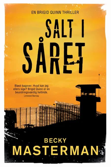 Salt i såret af Becky Masterman