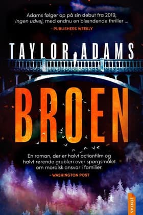 Broen af Taylor Adams