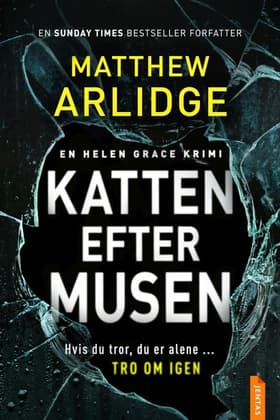 Katten efter musen af Matthew Arlidge