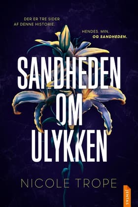 Sandheden om ulykken af Nicole Trope