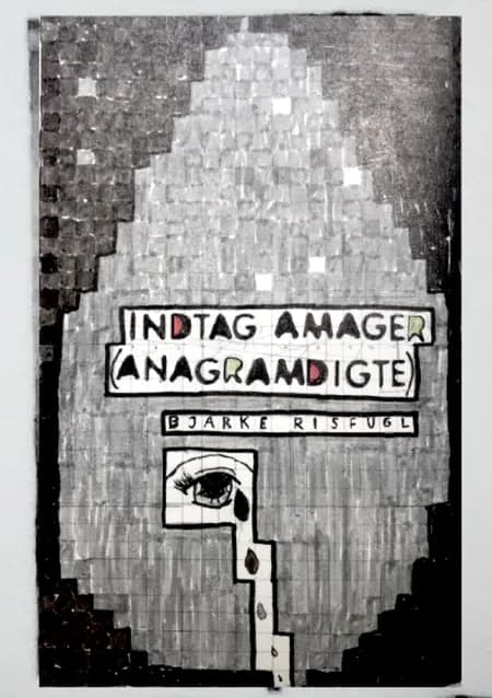 Indtag Amager af Bjarke Risfugl