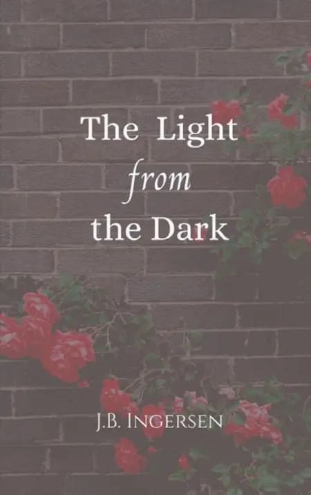 The Light From the Dark af J.B. Ingersen