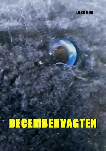 Decembervagten af Lars Røn