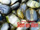 Som en sten af Karsten H. Petersen
