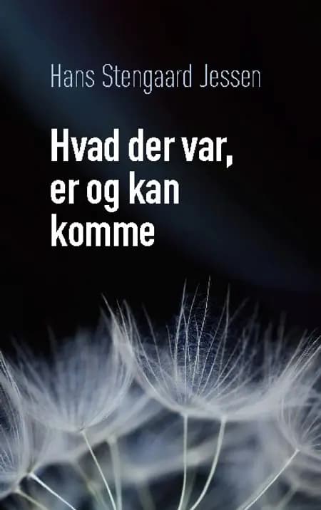 Hvad der var, er og kan komme af Hans Stengaard Jessen