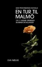 En tur til Malmö af Eva Nølke