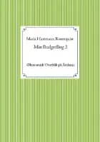 Min BudgetBog 2 af Maria Rosenquist