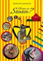 Hvem er Sanam? af Bjørn Noltensmeier
