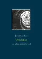 Opfattelsen af Jonathan Lee