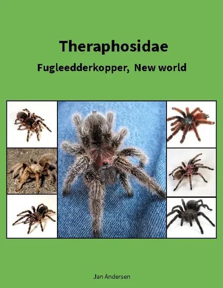 Theraphosidae af Jan Andersen