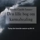 Den lille bog om karma-healing af Kristine Camille Sommer