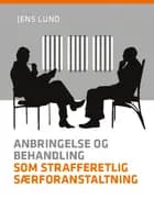 Anbringelse og behandling som strafferetlig særforanstaltning af Jens Lund