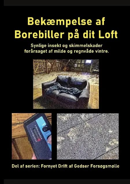 Bekæmpelse af Borebiller på dit Loft af Gitte Ahrenkiel