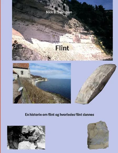 Flint af Nick B. Svendsen