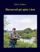 Havørred på spin i åen af Niels P. Arildskov