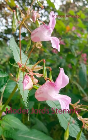 Moder Jords Stemme af Idarose Amayapi
