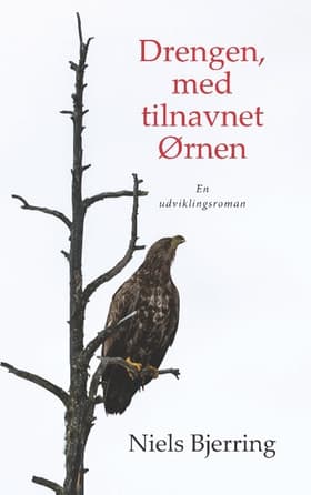 Drengen, med tilnavnet Ørnen af Niels Bjerring