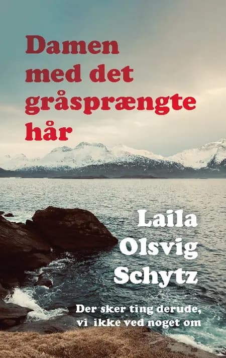 Damen med det gråsprængte hår af Laila Olsvig Schytz