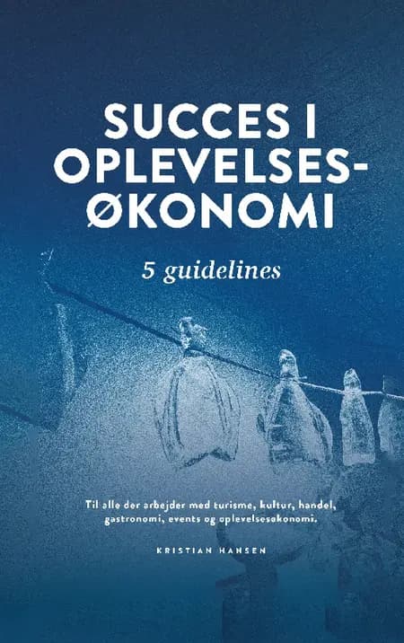 Succes i oplevelsesøkonomi af Kristian Hansen