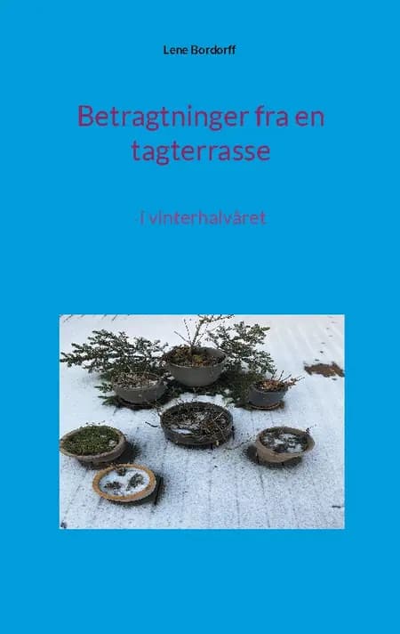 Betragtninger fra en tagterrasse af Lene Bordorff