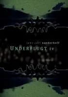 Underflugt IV