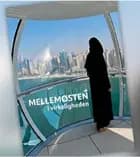 Mellemøsten i virkeligheden af Christina Marie JørgensenPoul Steiner Jensen