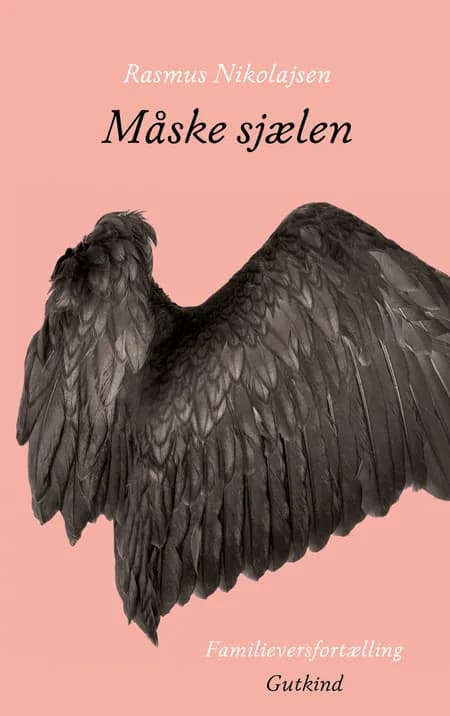 Måske sjælen af Rasmus Nikolajsen