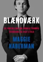Blændværk – En fortælling om Donald Trumps fremgang og USA’s fald