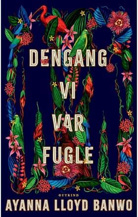 Dengang vi var fugle af Ayanna Lloyd Banwo
