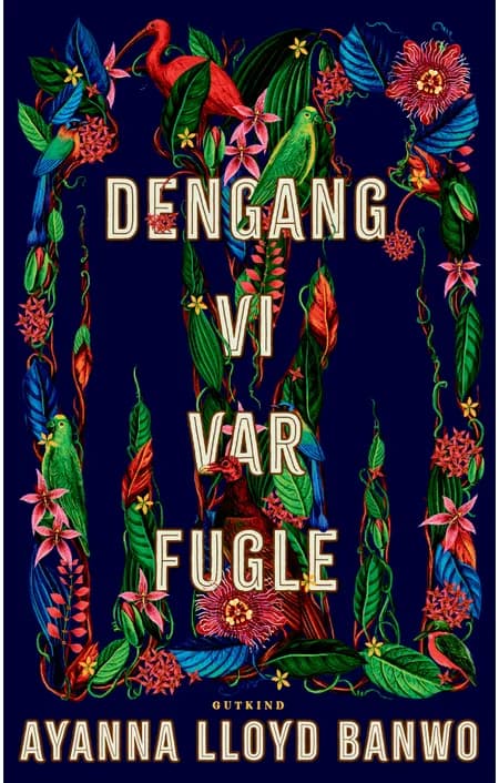 Dengang vi var fugle af Ayanna Lloyd Banwo