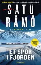 Et spor i fjorden