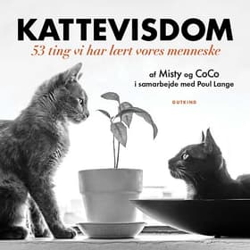 Kattevisdom af Misty