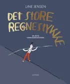 Det store regnestykke