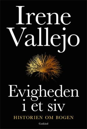 Evigheden i et siv af Irene Vallejo