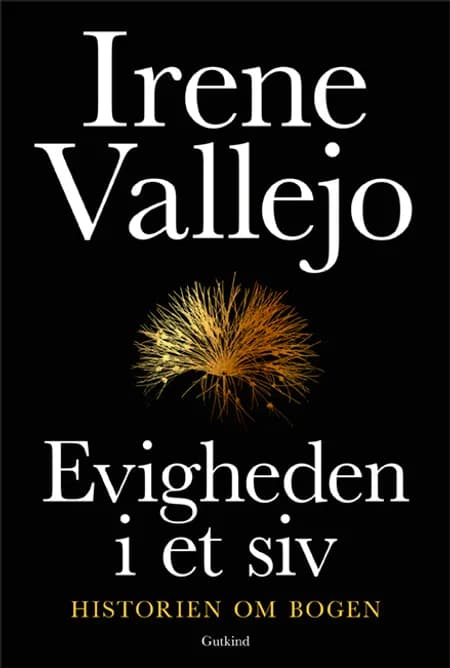 Evigheden i et siv af Irene Vallejo