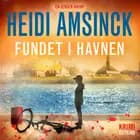 Fundet i havnen