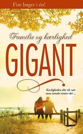 At genvinde sin brud  / På forbudt område / Skjulte følelser / Kærlighedens magi af Margaret Mayo