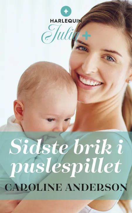 Sidste brik i puslespillet af Caroline Anderson