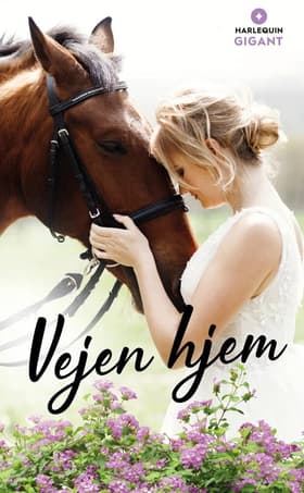 Vejen hjem af Barbara Dunlop