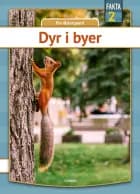 Dyr i byer